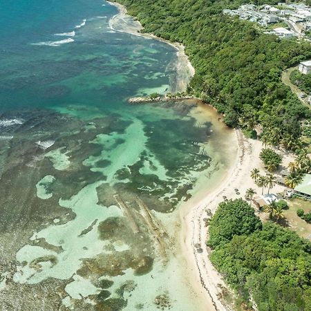 Apartamento Le Pti' Zandoli Anse Des Rochers Saint-Francois  Exterior foto