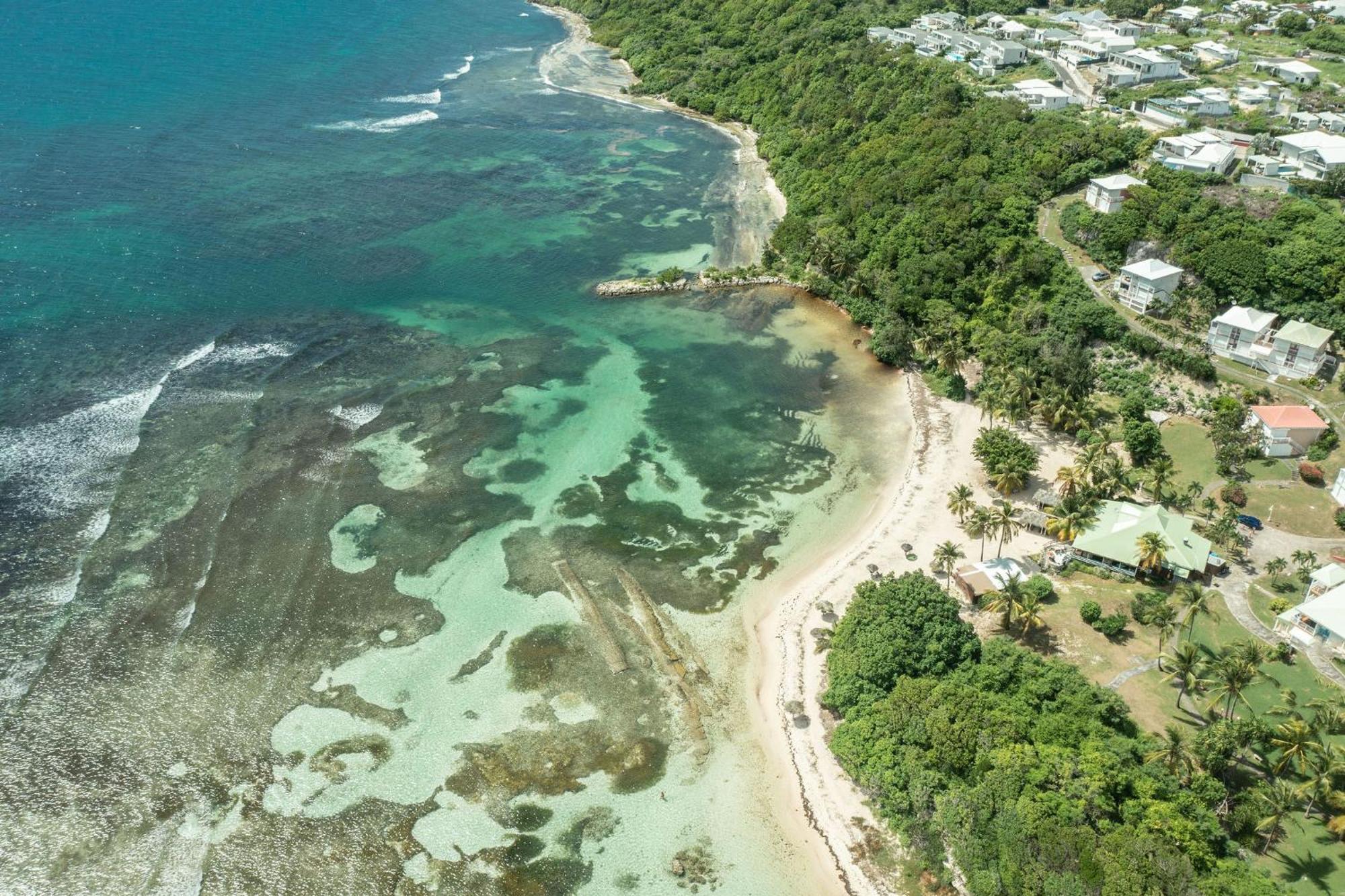 Apartamento Le Pti' Zandoli Anse Des Rochers Saint-Francois  Exterior foto